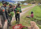 Borong Hasil Tani di Paniai, Prajurit Marinir Buka Akses Pasar dan Dongkrak Ekonomi Petani Papua