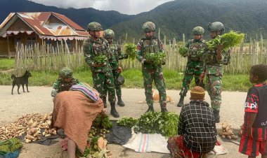 Siasat Cerdas Satgas Yonif 711/Raksatama Ubah Hasil Kebun di Paniai Jadi Senjata Pengentas Kemiskinan